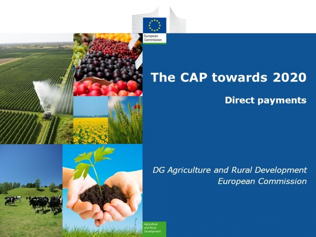 Update on CAP 2020